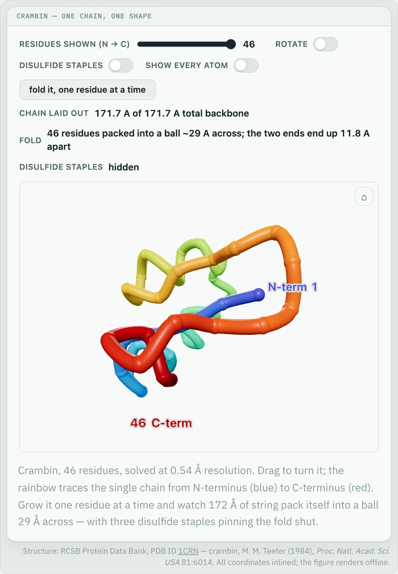 3D protein backbone of crambin