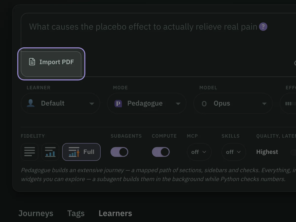 The home page's question box with its Import PDF button, in the box's lower left corner, ringed in violet while the rest of the page is dimmed.